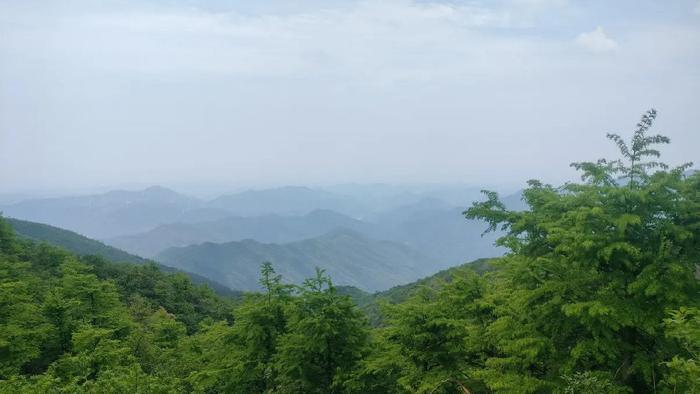 感恩是通往幸福的必经之路