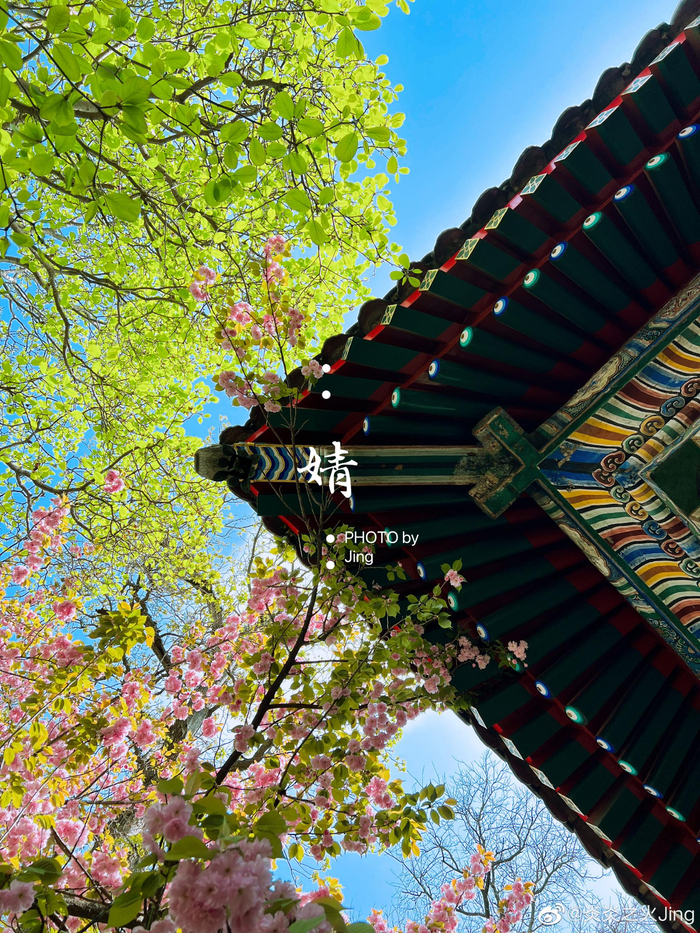 北京艺术博物馆，万寿寺