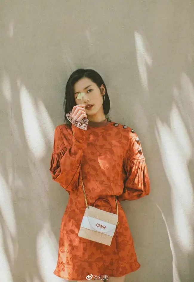 大表姐刘雯拍照教学,常用12个拍照姿势,帮你拍照上镜又漂亮|刘雯|上镜