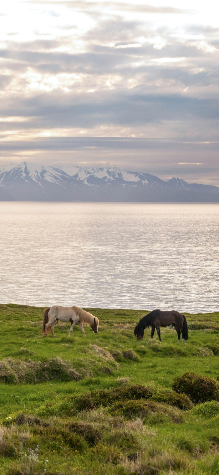 壁纸 风景 摄影 桌面 700_1518 竖版 竖屏 手机