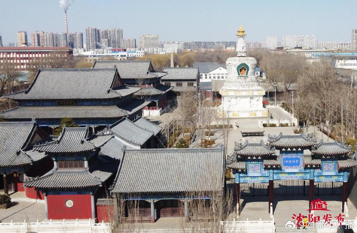 【2024爱沈阳·春天花正开】沈阳东塔 景上添花