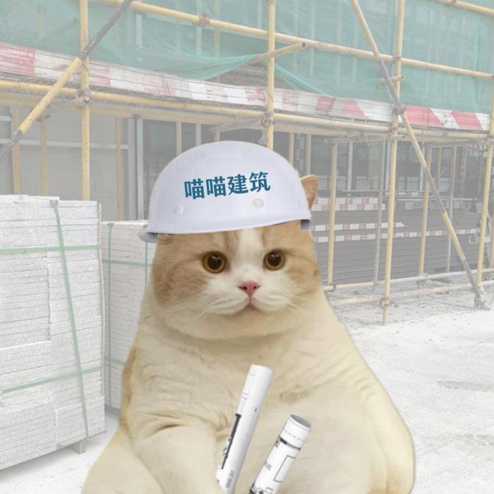 猫猫头像渣女图片