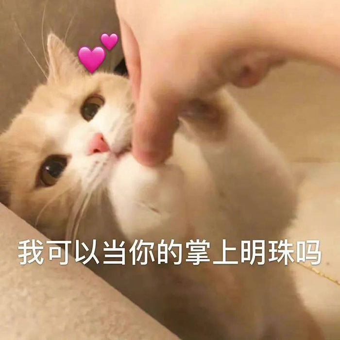 精选表情包至于吗大叔拿图点赞吱声