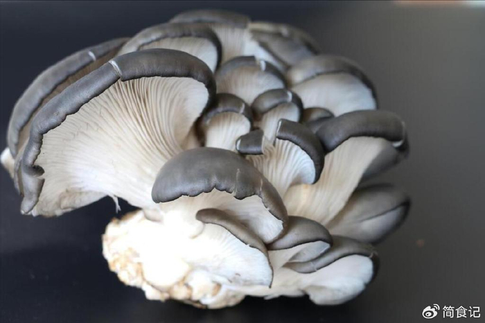 平菇的"死对头",这几种千万不可同食,吃了等于没病找病,切记|平菇|死