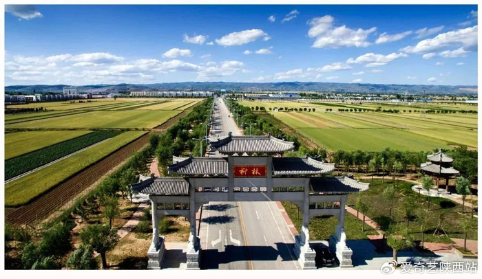 “文化柳林”新使命：为中国白酒产业高质量发展贡献力量