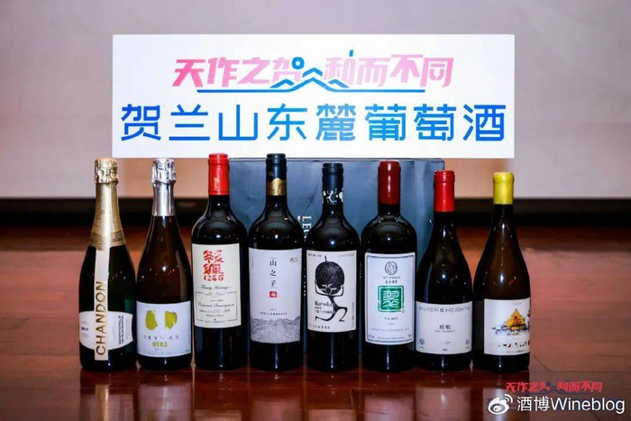 继斌致辞讲师大会由贺兰山东麓葡萄酒银川产区推广大使郭明浩老师主持