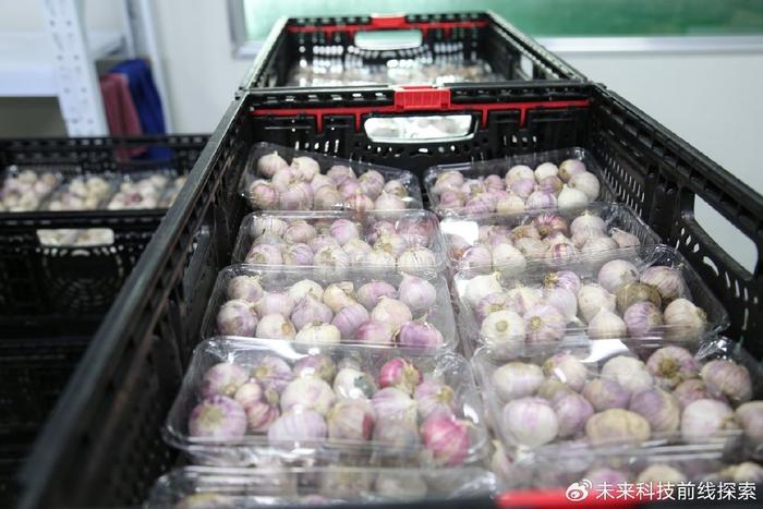 上海黄浦副食品配送沪鑫餐饮降低管理成本的新引擎