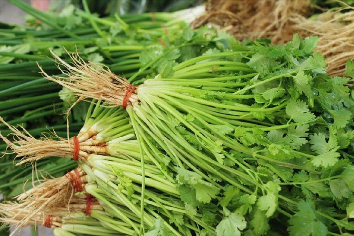 那香菜除了是一种食材,其实还是一种中药材,具有一定的药用功效,它