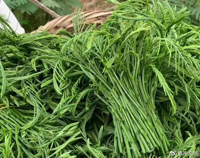 来腾冲吃春体验有一种叫云南的生活