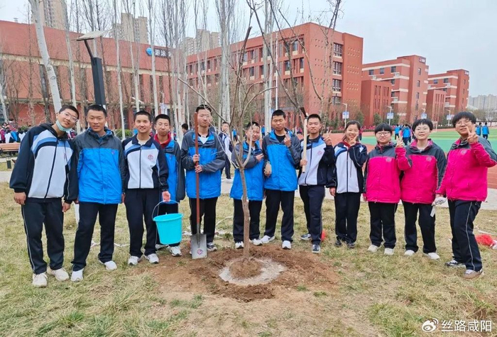 咸阳彩虹中学:"植"此青绿,共"树"未来|咸阳|彩虹|中学_新浪新闻
