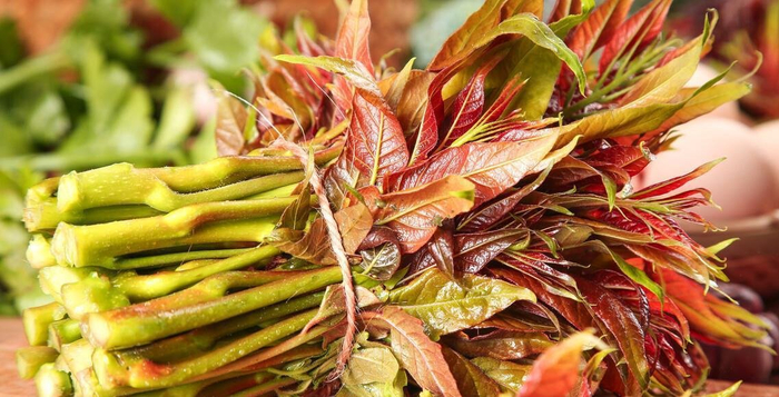 宁波传统春菜四大金刚你都吃过吗