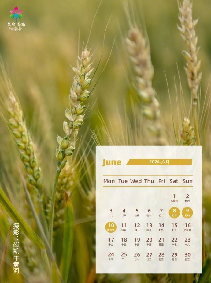 龙年日历济南壁纸送给你开启红红火火新一年祝龙行龘龘