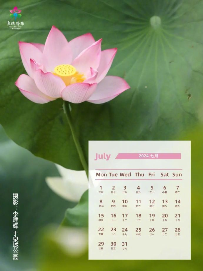 龙年日历济南壁纸送给你开启红红火火新一年祝龙行龘龘