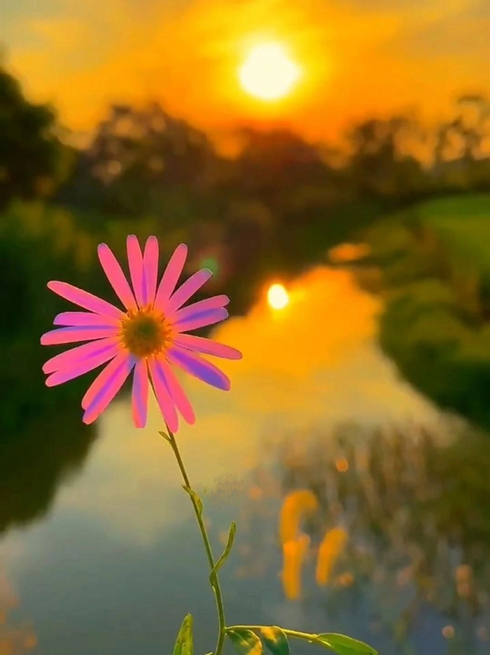 早安得而不喜失而不忧内心宁静则幸福常在