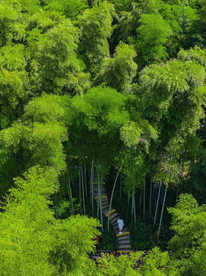 天目湖旅游感恩月|面向江苏省常住居民天目湖山水园景区免门票啦!