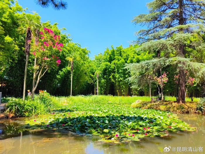 昆明植物园东园