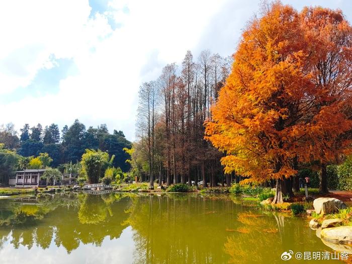 昆明植物园东园图片