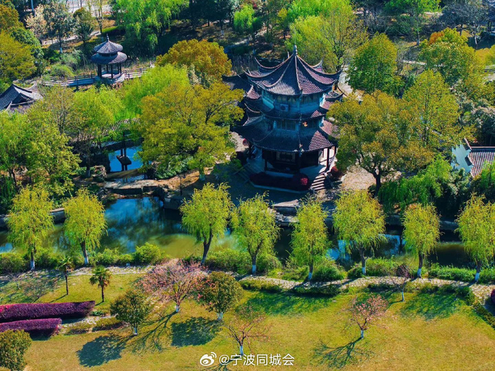 三月的宁波慈城春和景明美不胜收