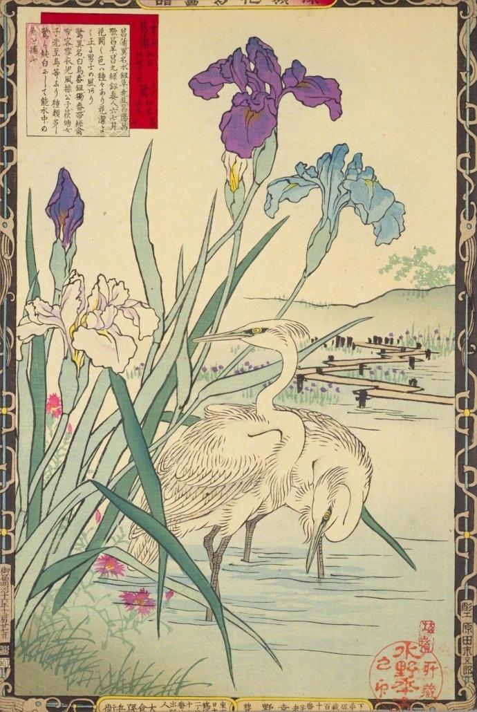 日本浮世绘《楳嶺花鳥画譜》（二）