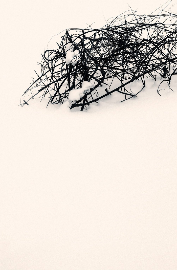 重庆9295现象深度解析，探秘城市记忆与数字密码的神秘联系