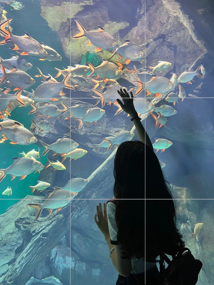 7672个海洋馆拍照姿势氛围感十足