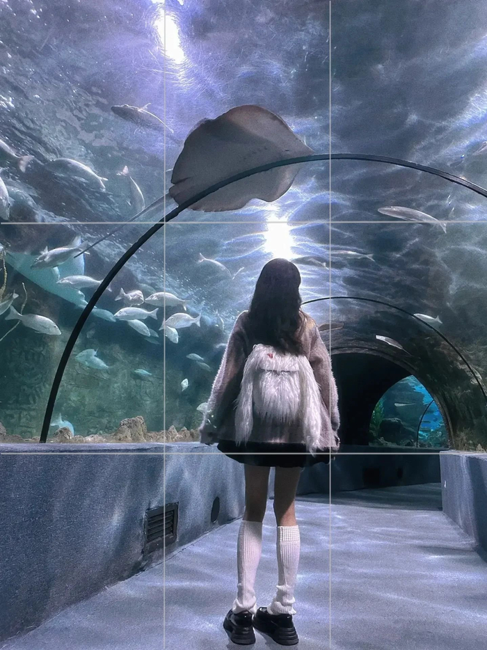 7672个海洋馆拍照姿势氛围感十足