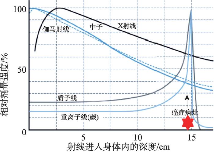 從圖1 顯示的不同射線進入人體內相對劑量隨入射深度的變化示意圖上