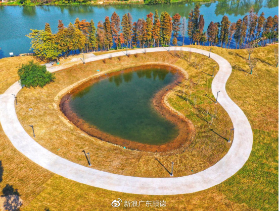 容桂华口:水秀岸绿 共建共享滨水新生活|兴城|容桂|三河_新浪新闻