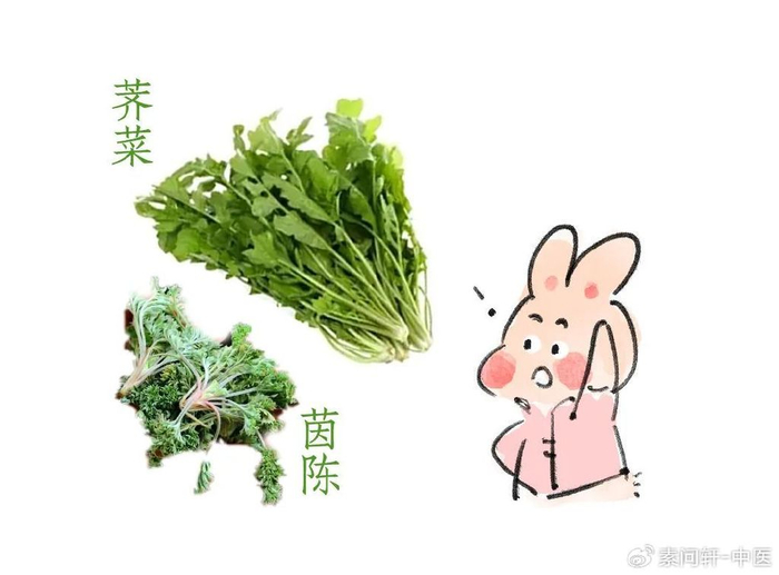 荠菜是可以清肝明目,清热利湿的,荠菜山药羹,荠菜豆腐羹都是可以清肝