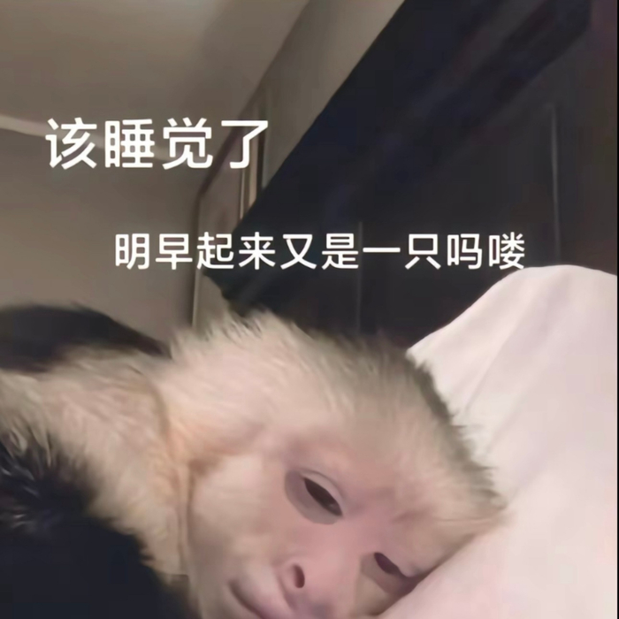 收集了一些吗喽表情包……
