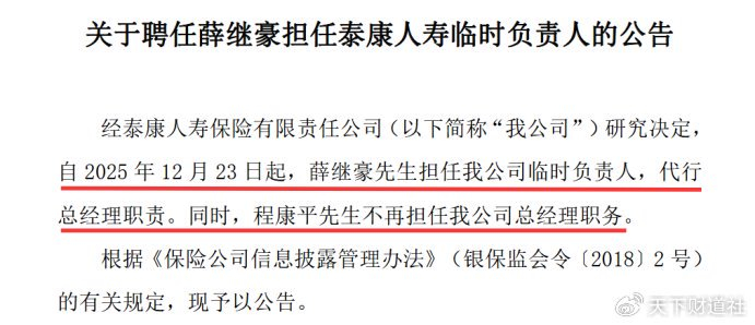 Analysis of Same-Age Leadership Succession and Management Vulnerabilities at Taikang Life Insurance