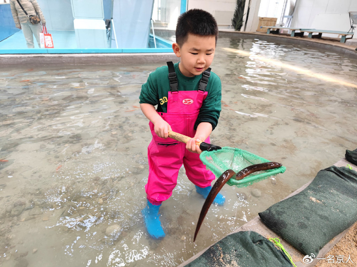 北京四环边也能赶海了水质清澈水产丰富免费停车交通便利