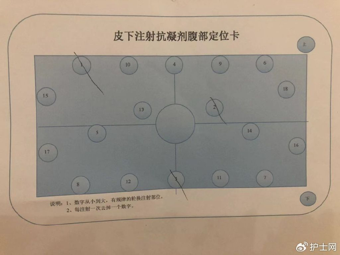 护士_新浪新闻