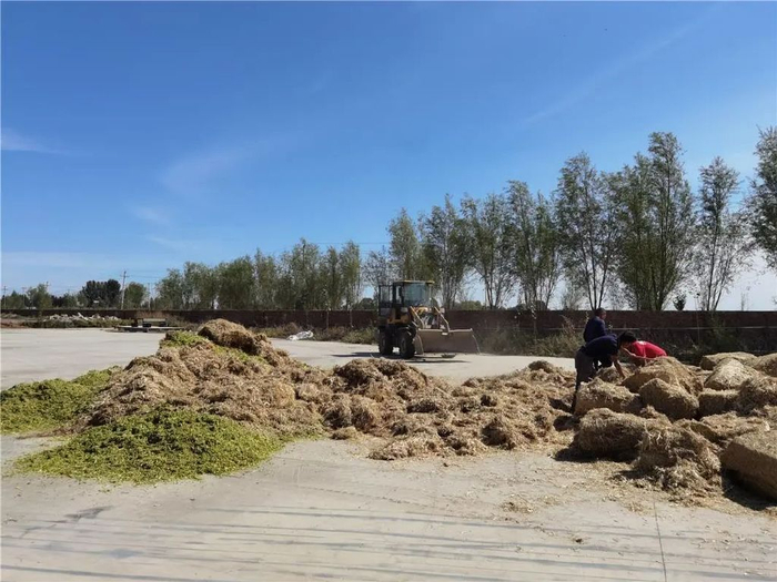 "唤醒"土默川盐碱地 包头说干就干!|盐碱地|土右旗|盐碱化_新浪新闻