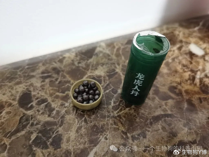 仁丹起源揭秘，日本汉方营销神话引爆的炼丹“爱国”风潮|森下博|中药|朱砂|龙虎|森下_新浪新闻
