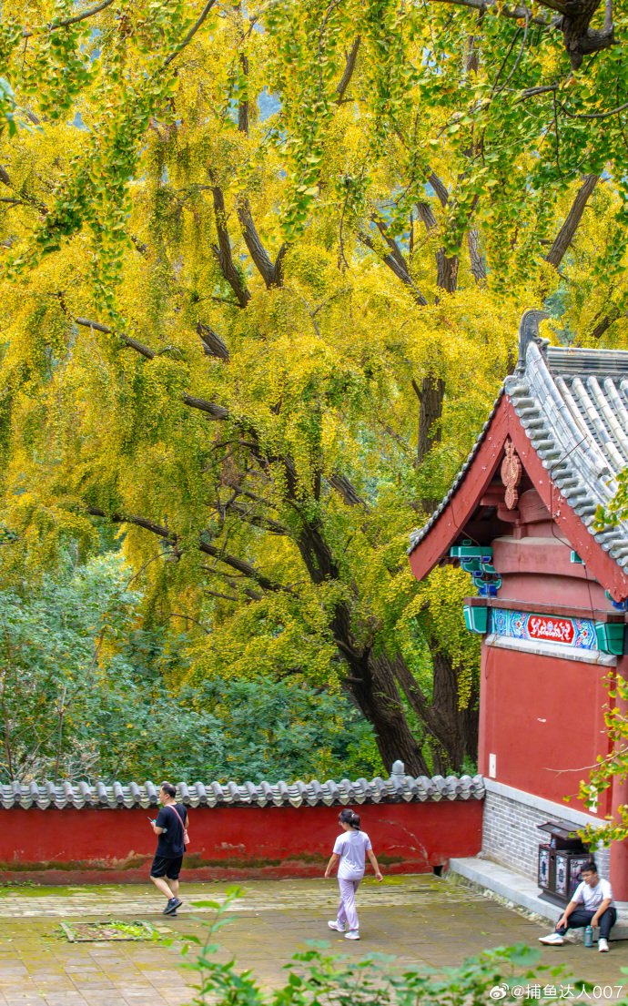 初秋来打卡泰安玉泉寺