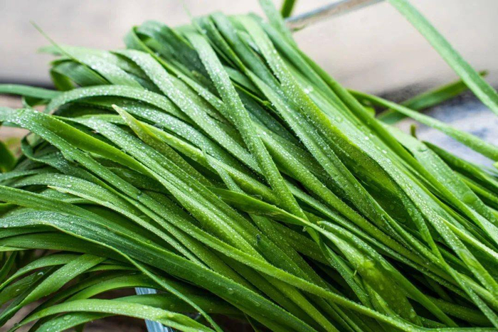 宁波传统春菜四大金刚你都吃过吗