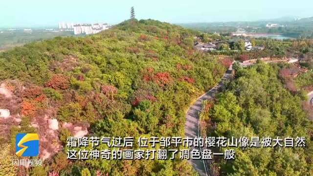 邹平樱花山:绚烂秋景画卷 层林尽染间的梦幻之境