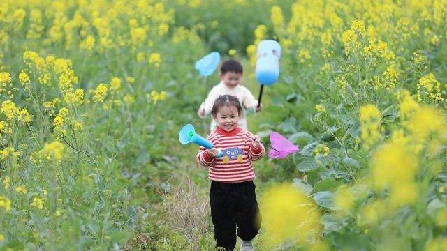 职业启蒙从家开始：如何帮助孩子发现并培育职业兴趣
