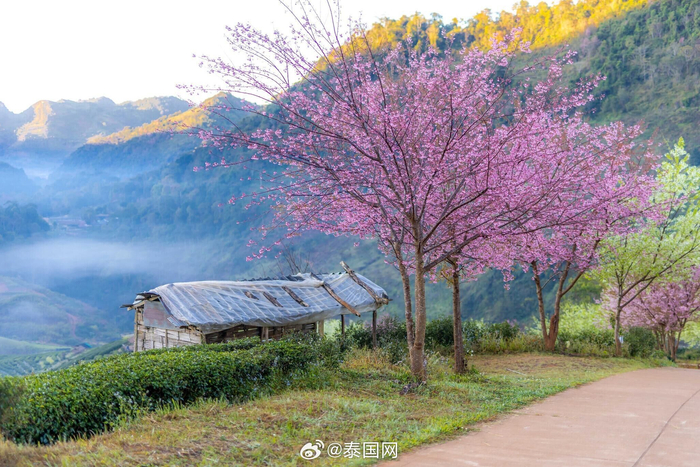 周一早安~ 清迈府的世外桃源!