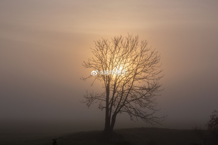 迷雾中寻光,荆棘中成长__财经头条