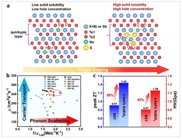 科技大学何佳清教授合作,创新性的提出了特洛伊掺杂(准同质掺杂)概念