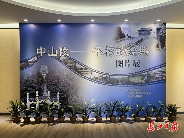 創元会委員,中山節子「南仏風景（ブオー畑）」４号油彩,77年,サントロペ,額なし 约300件文创作品亮相，首届全国孙中山纪念地文创设计成果展开幕