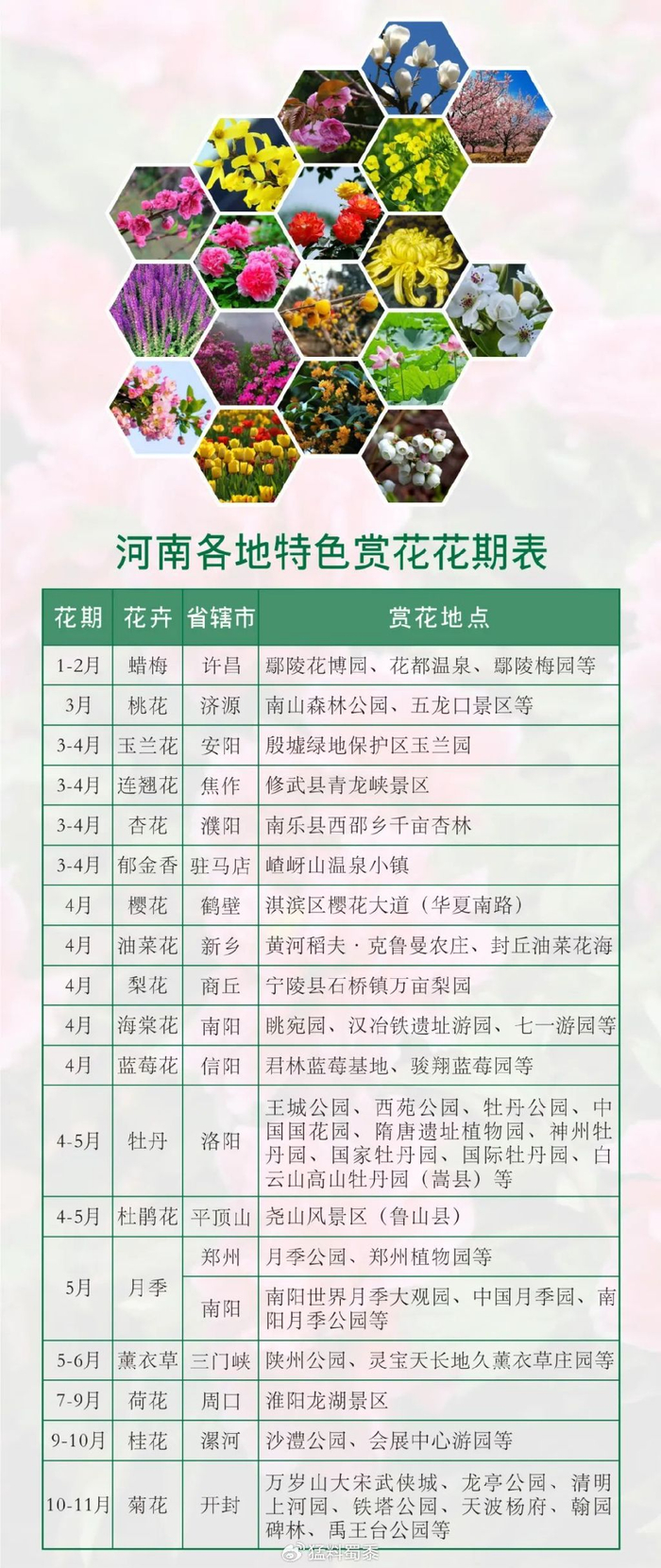 河南有繁花