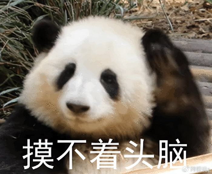 老外慕名来中国,打卡裸眼3d大熊猫,大喊要投屏到美国时代广场