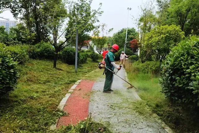 航天城管:加大"精修剪"力度 为园林绿化做"美容"