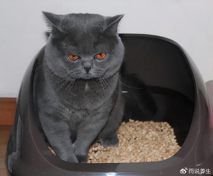 "我这位朋友说的令人大跌眼镜,窝头又不是糖,怎么可能吃窝头来治疗