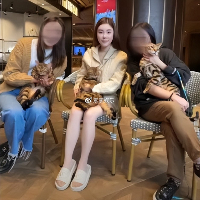 蔡天凤案迎来重大转机:豹太揭开凶手邝家人的全部家底|香港特别行政区|香港|邝球|豪宅|公公_新浪新闻