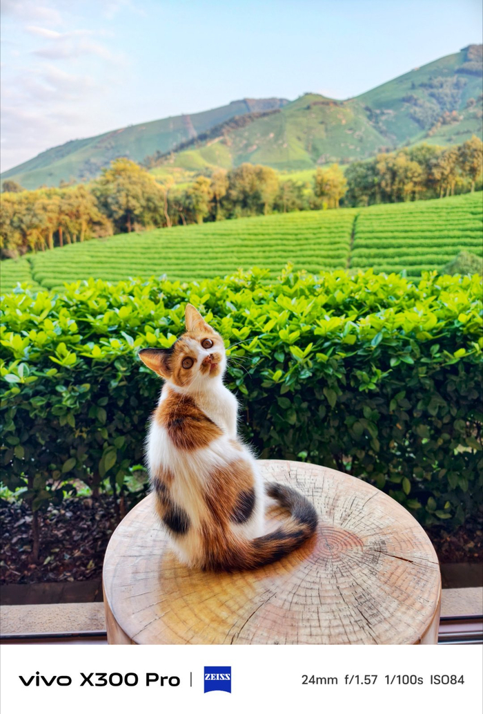 年轻人一天4瓶，根本无心工作！非洲小国已彻底沦陷在...