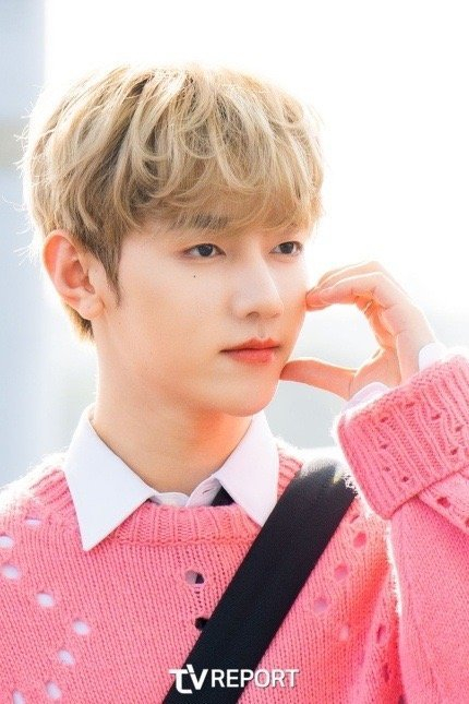 今日粉衣卷毛章昊机场图真的真的好可爱啊看上去状态很好